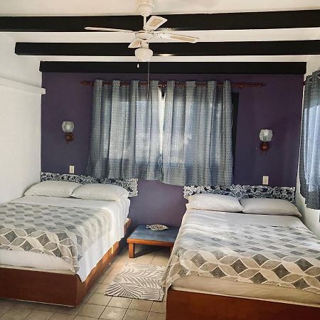 Villa Bougainvillea Aruba, The Tango Suite شاطئ بالم المظهر الخارجي الصورة