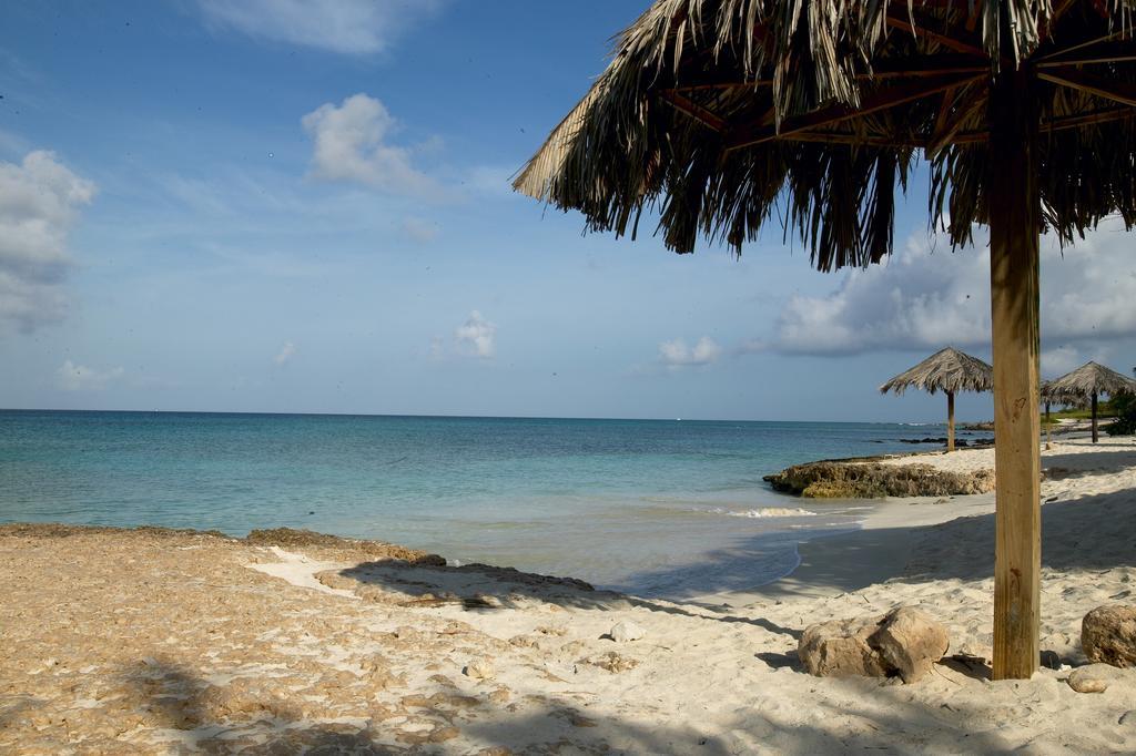 Villa Bougainvillea Aruba, The Tango Suite شاطئ بالم المظهر الخارجي الصورة