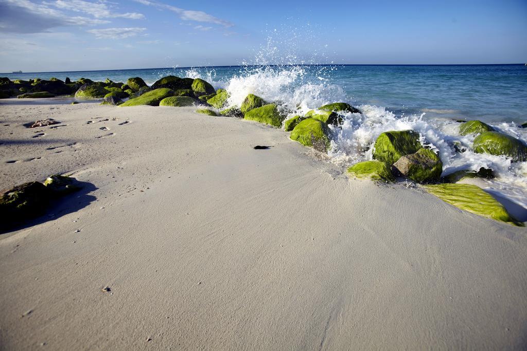 Villa Bougainvillea Aruba, The Tango Suite شاطئ بالم المظهر الخارجي الصورة