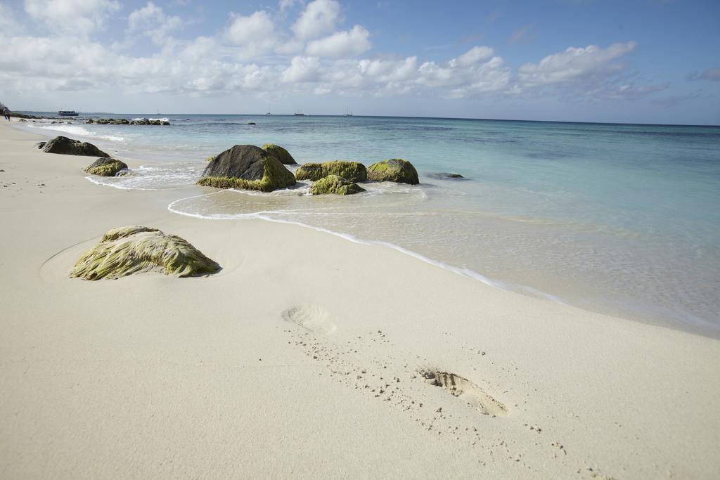 Villa Bougainvillea Aruba, The Tango Suite شاطئ بالم المظهر الخارجي الصورة