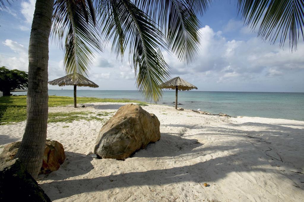 Villa Bougainvillea Aruba, The Tango Suite شاطئ بالم المظهر الخارجي الصورة